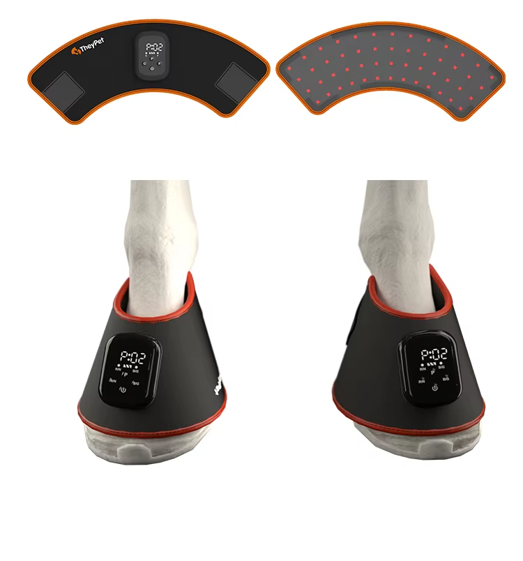Red Light Therapy | IWA Medical Veterinary Equipment Supplier