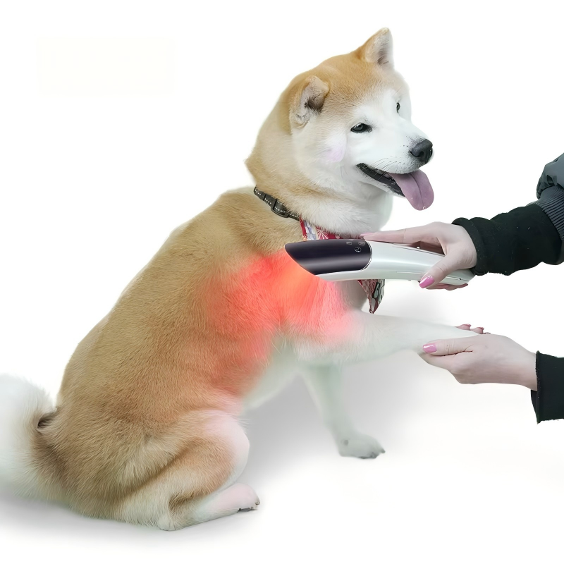 1 Red Light Therapy Device | IWA Medical Veterinary Equipment Supplier