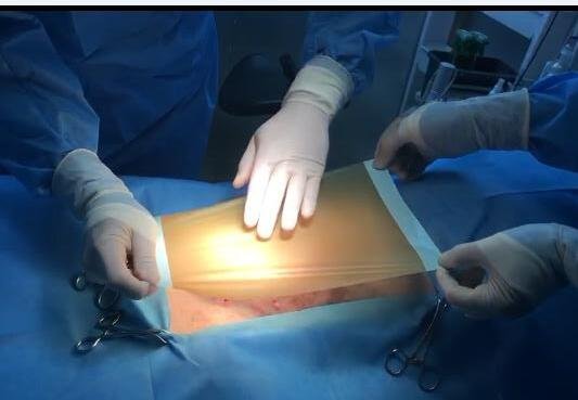 Antibacterial Iodophor-containing Surgical Drape for Animal Operations