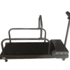 IWA-PT01 Professional Pet Treadmill