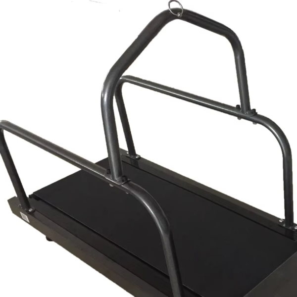 IWA-PT01 Professional Pet Treadmill