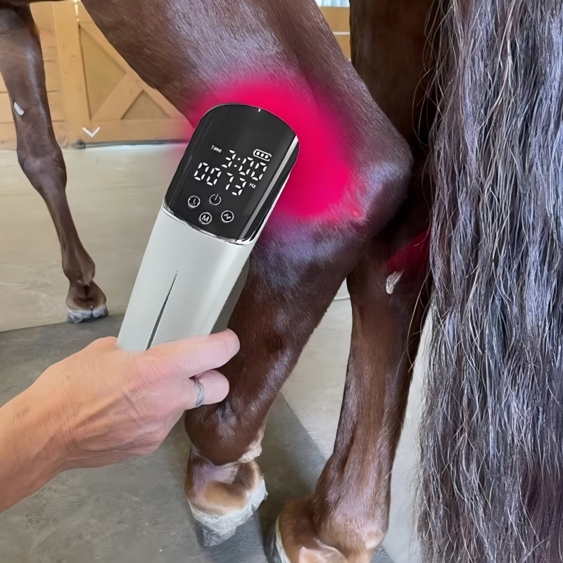 High Power 660nm Red Light Therapy | IWA Medical Veterinary Equipment Supplier