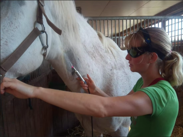 Laser Therapy Machine