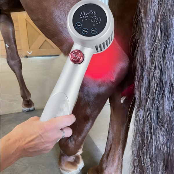 Equine Laser Therapy Machine