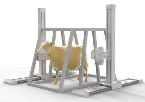 Dual-Stand Digital X-Ray System For Large Animal