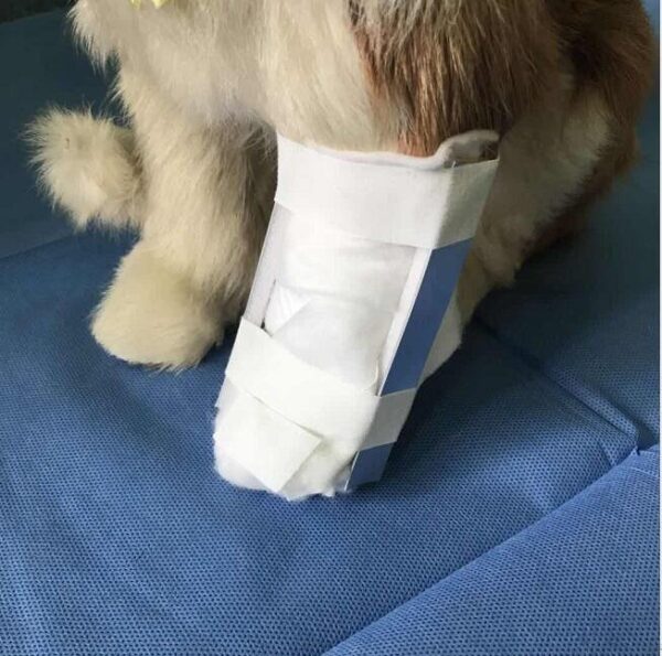 Orthopedic Alloy Splint for Animals