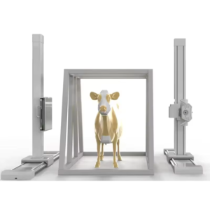 Dual-Stand Digital X-Ray System For Large Animal