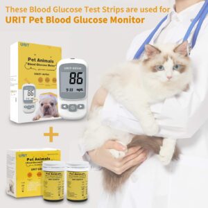 IWA-BG01 Veterinary Blood Glucose Monitor