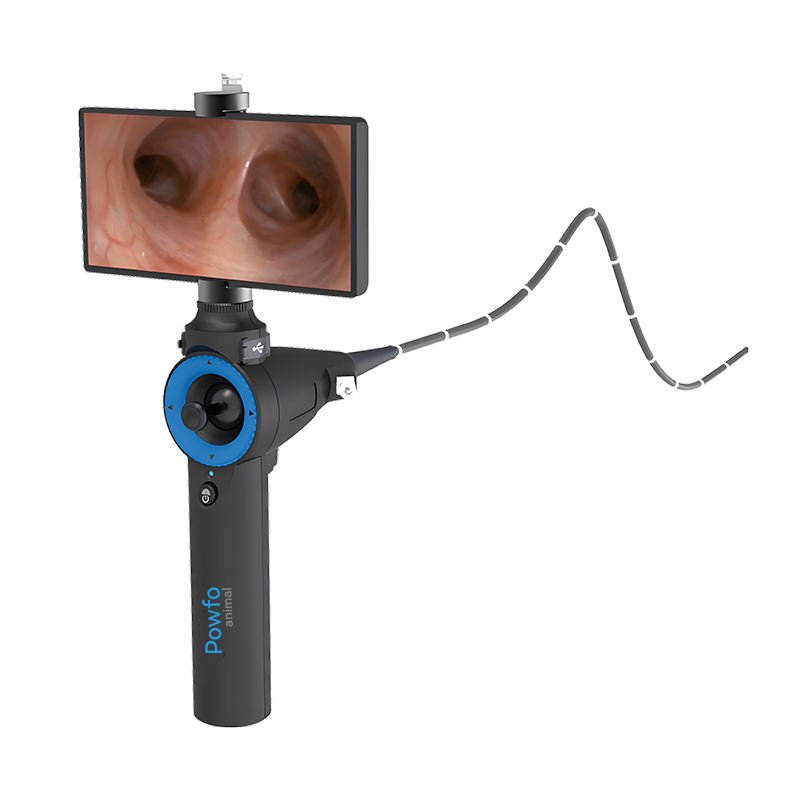 H9df5ca11453e45a981f7c3097d470e6aX Portable Endoscope LUMA_HD3 | IWA Medical Veterinary Equipment Supplier