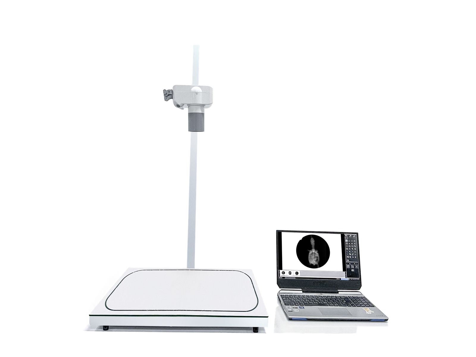 Mini DR System iFlex-mini | IWA Medical Veterinary Equipment Supplier