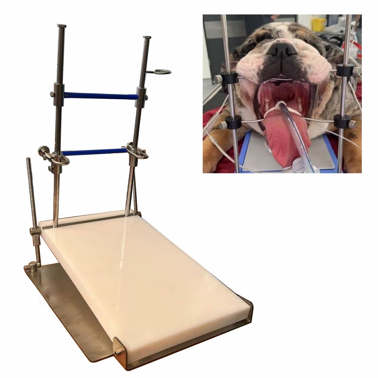 Veterinary Rodent Opener | IWA Medical Veterinary Equipment Supplier