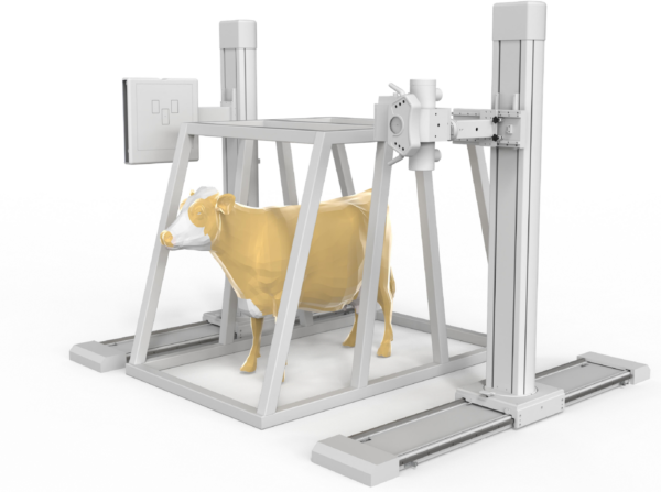Dual-Stand Digital X-Ray System For Large Animal