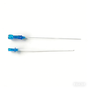Catheter with Guide Wire XC