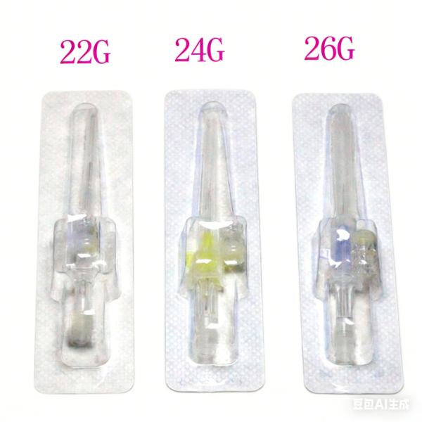 Catheter with Guide Wire