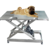 Veterinary Stainless Steel Ultrasound Examination Table