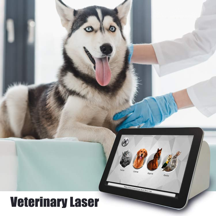 IWA-VD01 Veterinary Diode Laser System | IWA Medical Veterinary Equipment Supplier