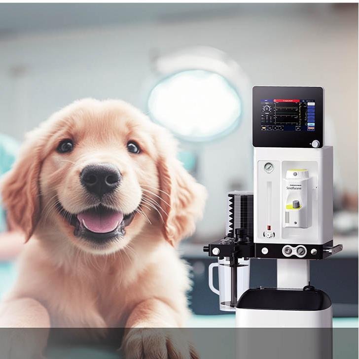 描述图_01 Anesthesia Workstation LV_AWX5 | IWA Medical Veterinary Equipment Supplier