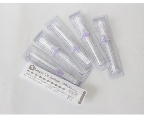 Veterinary Indwelling Needle