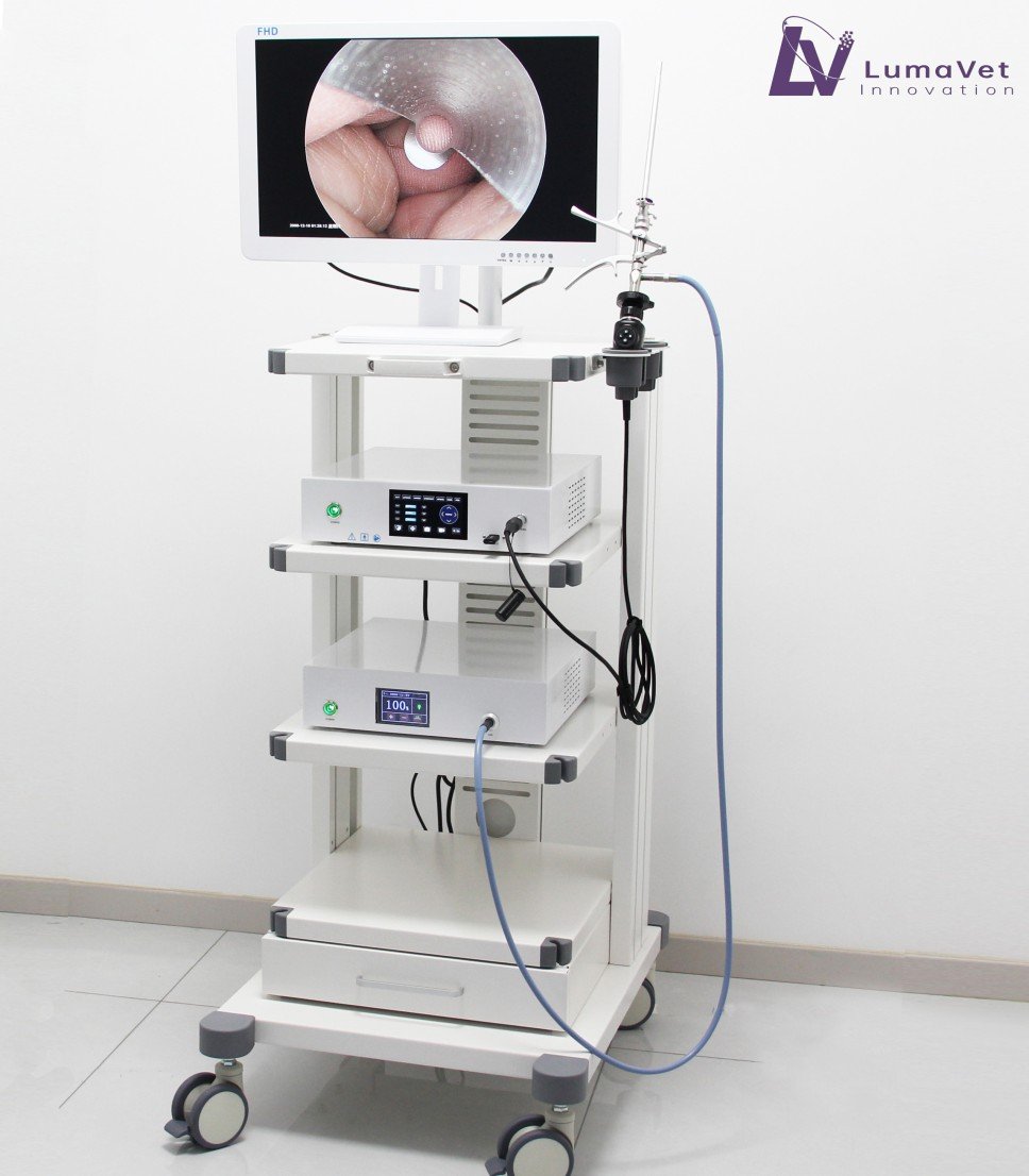 描述图_11 UHD veterinary endoscope camera for nose/arthroscopy/hysteroscopy/spine | IWA Medical Veterinary Equipment Supplier