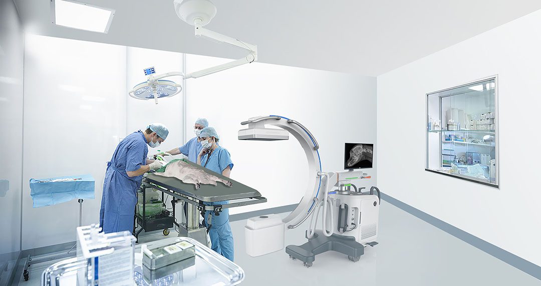 IWA-DC01 in veterinary operating room - surgeons using C-arm for intra-operative imaging on small animal patient