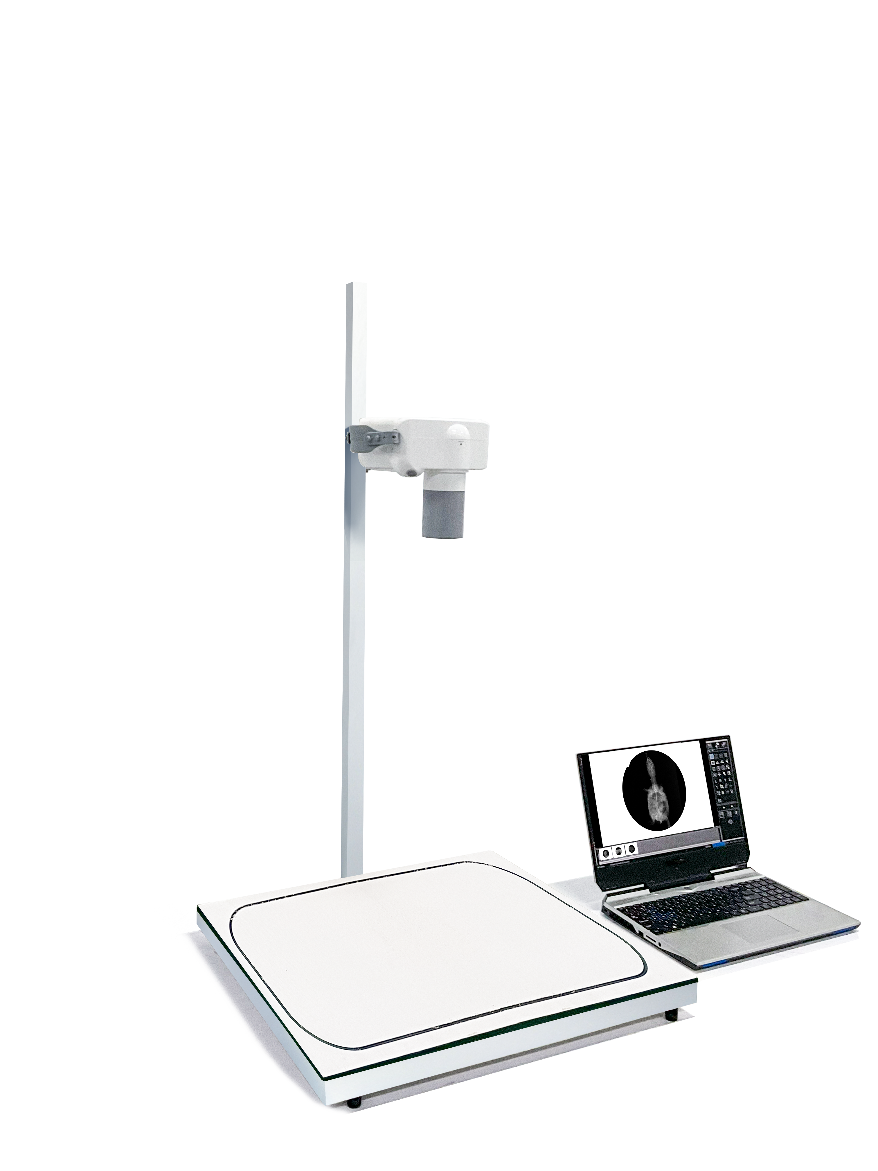 iFlex-mini in clinical context