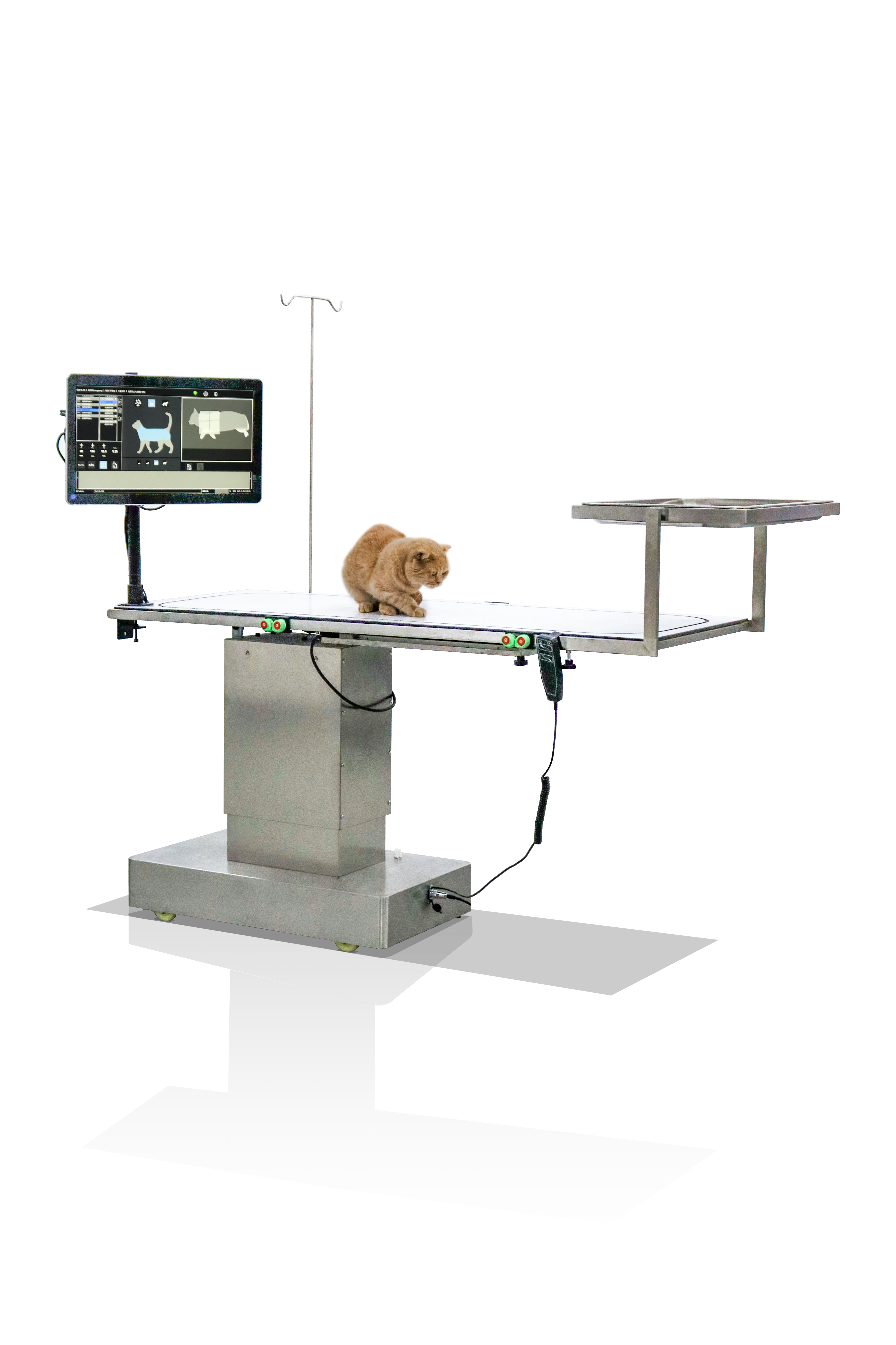 iToo-Sur surgical table — feline patient on the operating surface