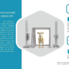 iVision-1000X Bovine-Clamp DR system — installation context