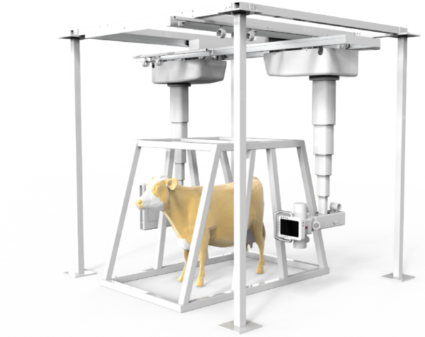iVision-1000X Dual-Tower ceiling-mounted DR system — over... iVision-1000X Dual-Tower ceiling-mounted DR system — overhead suspended tube heads over bovine patient