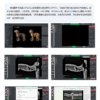 IWA-FP15 VetDXRay imaging software interface — veterinary... IWA-FP15 VetDXRay imaging software interface — veterinary workstation