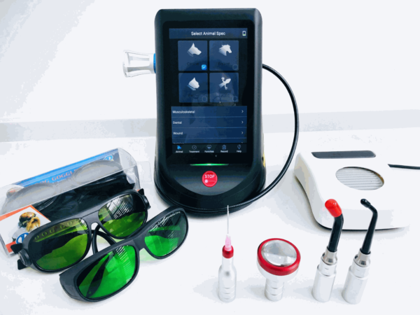 IWA-LAS10 Class IV veterinary laser therapy system — full kit with handpieces, safety glasses, foot switch, and treatment fiber