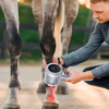 IWA-LAS20 cluster laser probe in clinical use on an equine fetlock
