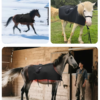 IWA-RLT10 wireless red light therapy blanket fitted on multiple equine patients