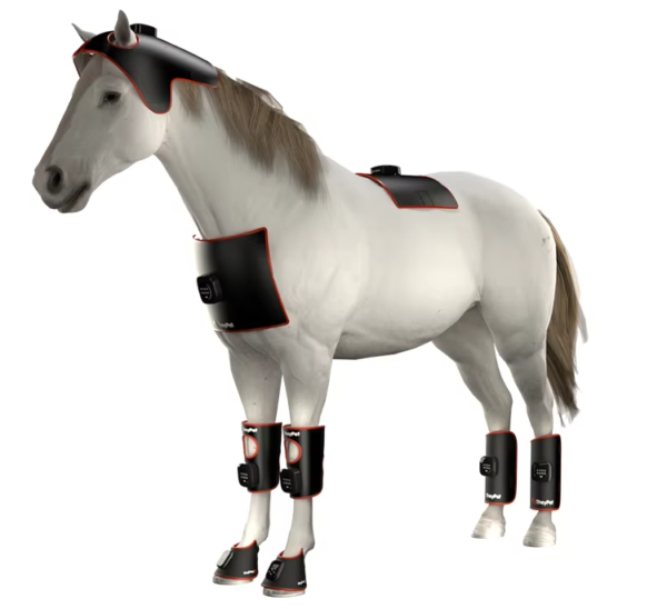 IWA-RLT30 — equine red light therapy system combining hoof pads, leg pads, and body pads