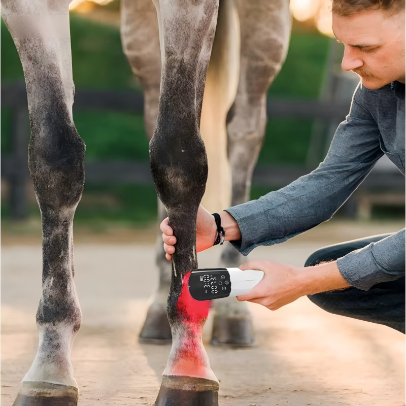 IWA-RLT40 in clinical use on equine fetlock