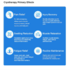 IWA-SCT10 cryotherapy primary effects — pain relief, injury IWA-SCT10 cryotherapy primary effects — pain relief, injury recovery, swelling reduction, muscle relaxation, fatigue relief, routine maintenance