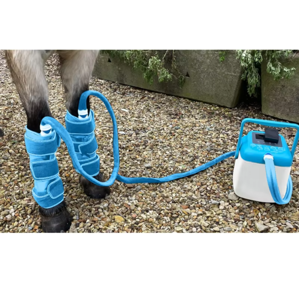IWA-SCT20 air compression cold therapy applied to equine fro IWA-SCT20 air compression cold therapy applied to equine front legs in stable yard