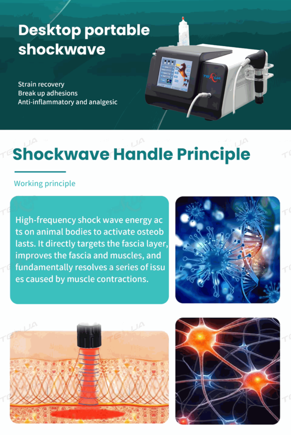 IWA-SWT10 desktop portable shockwave — working principle,... IWA-SWT10 desktop portable shockwave — working principle, fascia and muscle targeting