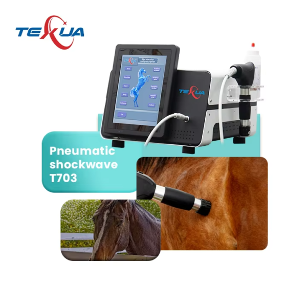 IWA-SWT10 pneumatic shockwave system — equine treatment a... IWA-SWT10 pneumatic shockwave system — equine treatment application