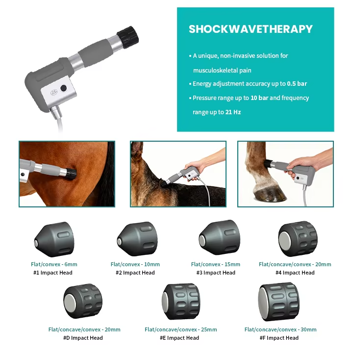 IWA-SWT20 High-Performance Mobile Veterinary Shockwave Therapy Station — impact heads