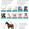 IWA-SWT30 positive physiological effects — 8 effects acro... IWA-SWT30 positive physiological effects — 8 effects across 10 body areas plus equine anatomical reference