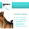IWA-SWT30 shockwave handle — 10 Bar / 21 Hz high-intensit... IWA-SWT30 shockwave handle — 10 Bar / 21 Hz high-intensity, 2-6 cm penetration depth, high-hardness gun barrel