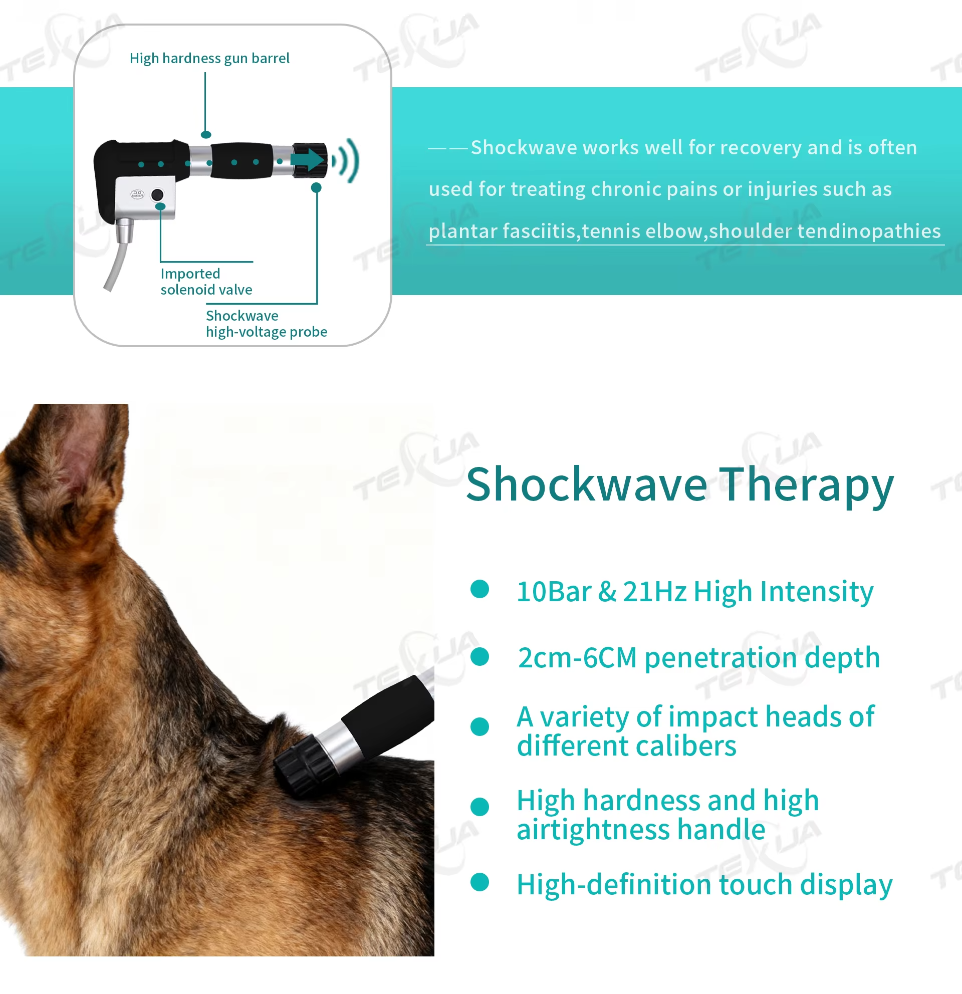 IWA-SWT30 Compact Desktop Pneumatic Equine Shockwave Therapy Machine — handle detail