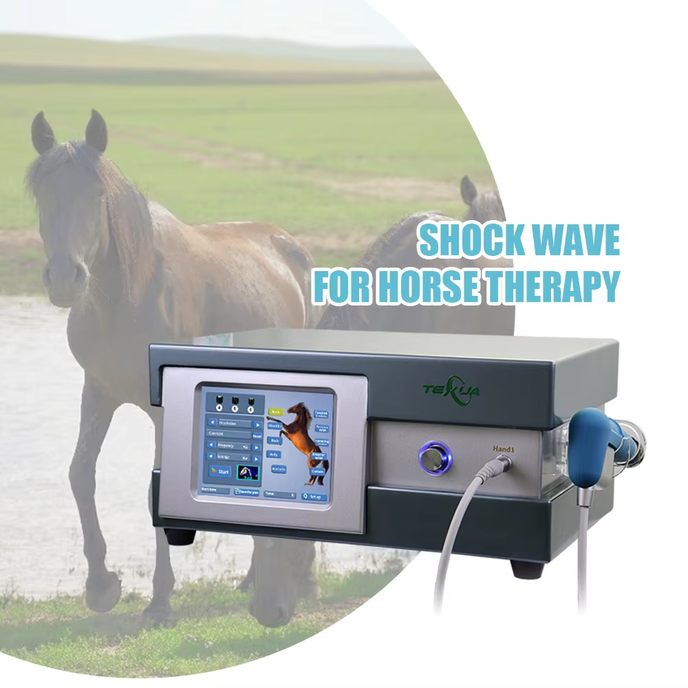 IWA-SWT30 compact desktop pneumatic equine shockwave therapy machine — clinical setting with horse