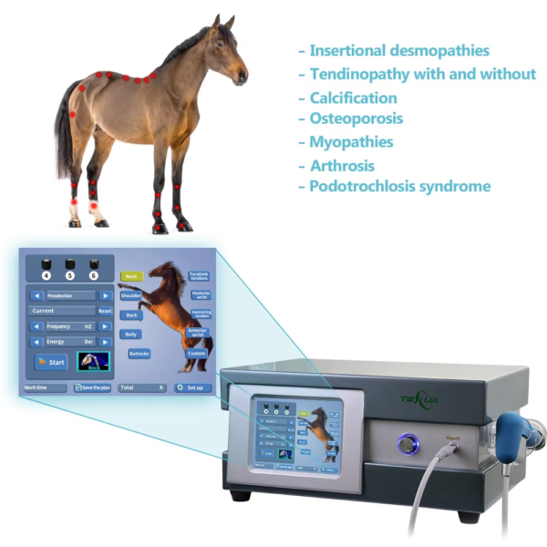 IWA-SWT30 indications — insertional desmopathies, tendino... IWA-SWT30 indications — insertional desmopathies, tendinopathy, calcification, osteoporosis, myopathies, arthrosis, podotrochlosis syndrome