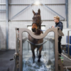 IWA-TM10 underwater treadmill — front access door open with platform visible