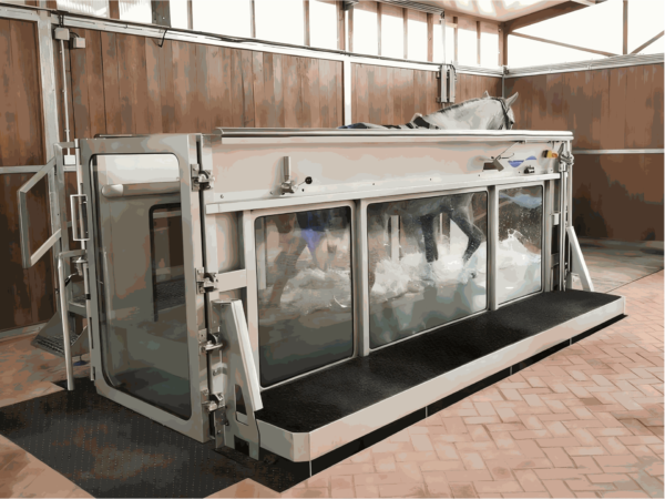 IWA-TM10 equine underwater treadmill — full unit with sliding doors, viewing windows, and integrated platform