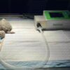 IWA-Ven10 small-animal and exotic veterinary ventilator i... IWA-Ven10 small-animal and exotic veterinary ventilator in clinical use - compact unit connected to a juvenile turtle / reptile patient on a recovery pad