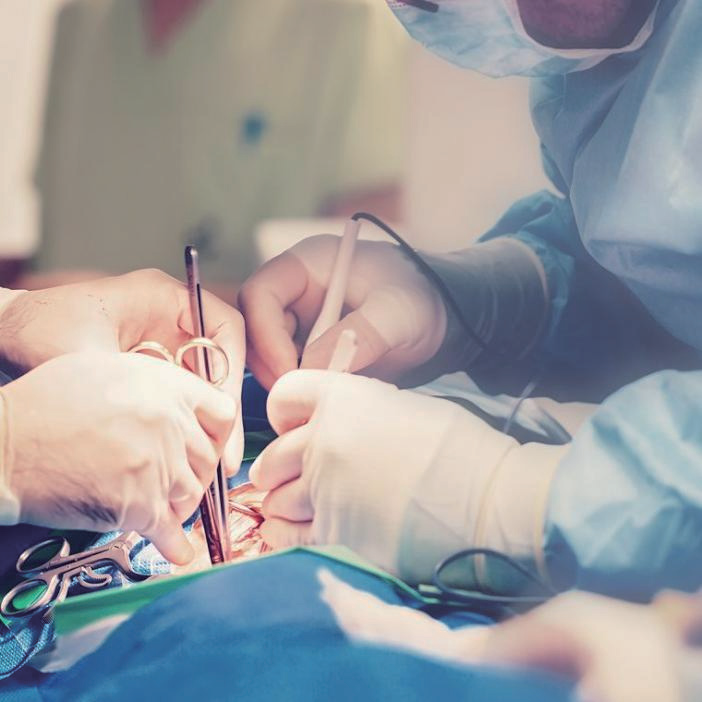 Open veterinary surgical procedure using electrosurgical generator