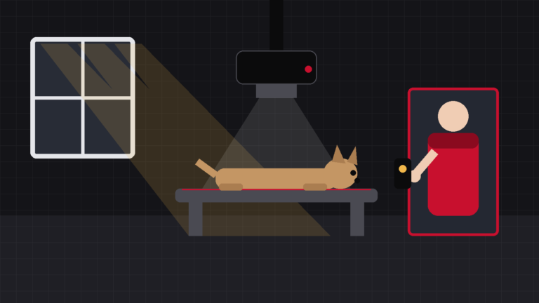 Illustration of a veterinary X-ray room