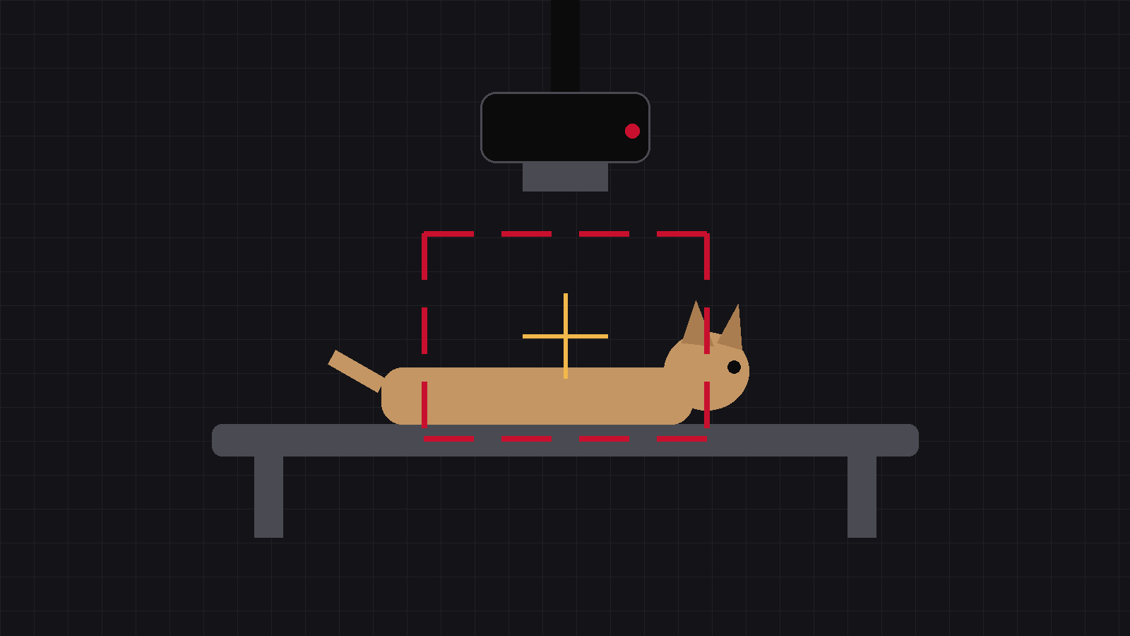 Illustration of a veterinary DR control console with two dials, kV and mAs